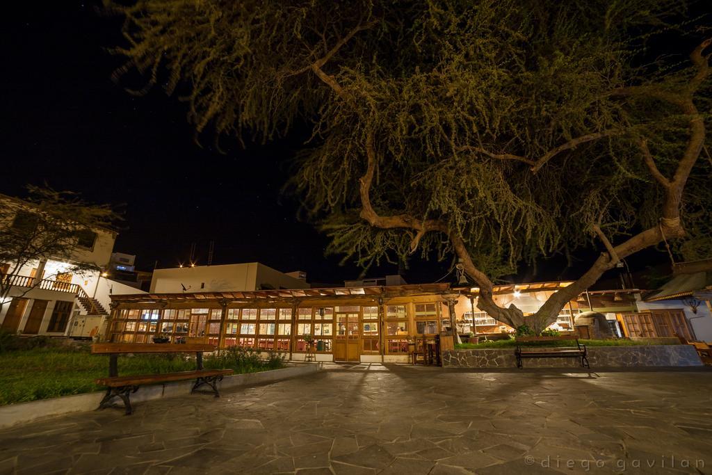 Hotel El Huarango Ica Kültér fotó